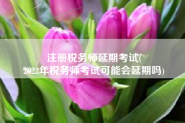 注册税务师延期考试(
2022年税务师考试可能会延期吗)