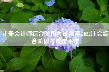 注册会计师综合阶段考试内容,2022注会综合阶段考试难不难