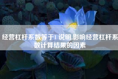 经营杠杆系数等于1 说明,影响经营杠杆系数计算结果的因素