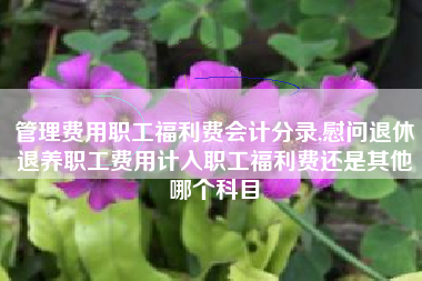 管理费用职工福利费会计分录,慰问退休退养职工费用计入职工福利费还是其他哪个科目