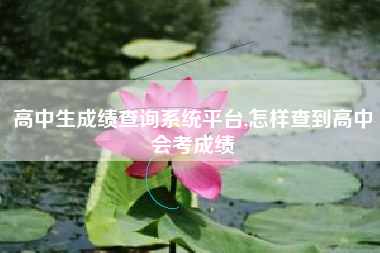 高中生成绩查询系统平台,怎样查到高中会考成绩