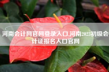 河南会计网官网登录入口,河南2023初级会计证报名入口官网