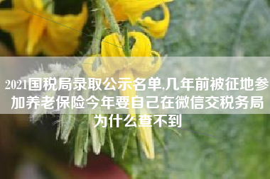 2021国税局录取公示名单,几年前被征地参加养老保险今年要自己在微信交税务局为什么查不到