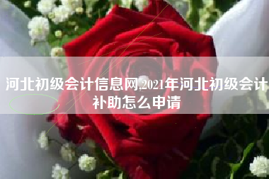 河北初级会计信息网,2021年河北初级会计补助怎么申请