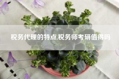 税务代理的特点,税务师考研值得吗