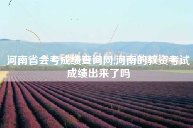 河南省会考成绩查询网,河南的教资考试成绩出来了吗