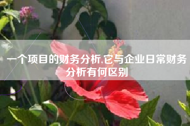 一个项目的财务分析,它与企业日常财务分析有何区别