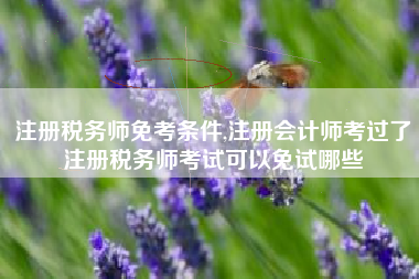 注册税务师免考条件,注册会计师考过了注册税务师考试可以免试哪些