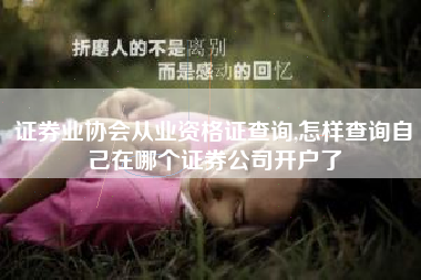证券业协会从业资格证查询,怎样查询自己在哪个证券公司开户了