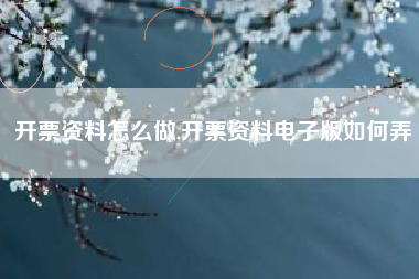 开票资料怎么做,开票资料电子版如何弄