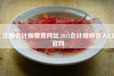注册会计师缴费网址,2023会计师报名入口官网