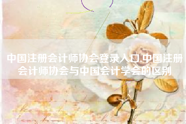 中国注册会计师协会登录入口,中国注册会计师协会与中国会计学会的区别
