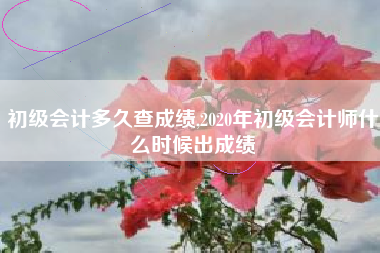 初级会计多久查成绩,2020年初级会计师什么时候出成绩