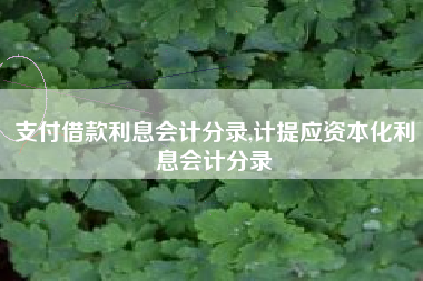 支付借款利息会计分录,计提应资本化利息会计分录