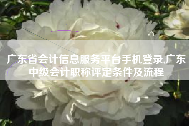 广东省会计信息服务平台手机登录,广东中级会计职称评定条件及流程
