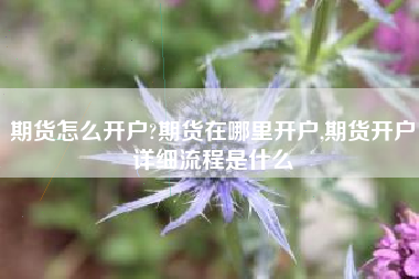 期货怎么开户?期货在哪里开户,期货开户详细流程是什么