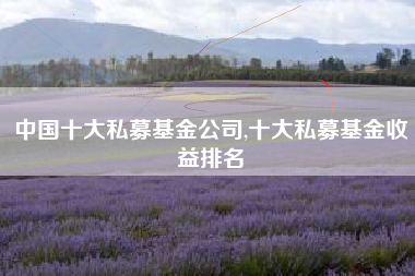 中国十大私募基金公司,十大私募基金收益排名