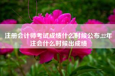 注册会计师考试成绩什么时候公布,22年注会什么时候出成绩