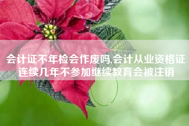 会计证不年检会作废吗,会计从业资格证连续几年不参加继续教育会被注销