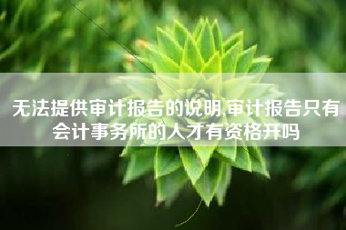 无法提供审计报告的说明,审计报告只有会计事务所的人才有资格开吗