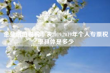 企业增值税税率表2019,2019年个人专票税率具体是多少