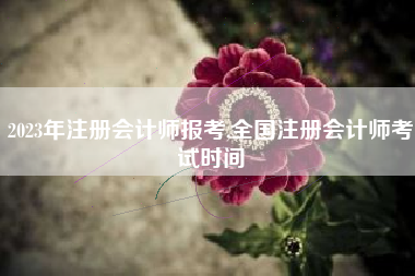 2023年注册会计师报考,全国注册会计师考试时间