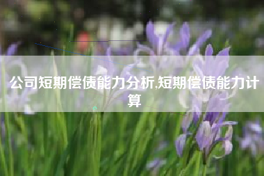 公司短期偿债能力分析,短期偿债能力计算