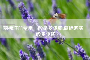 商标注册费用一般是多少钱,商标购买一般多少钱
