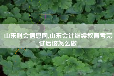 山东财会信息网,山东会计继续教育考完试后该怎么做
