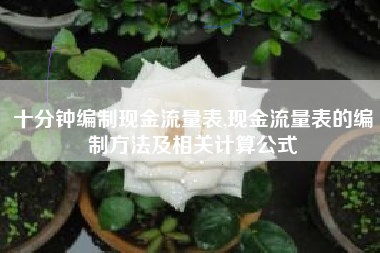 十分钟编制现金流量表,现金流量表的编制方法及相关计算公式