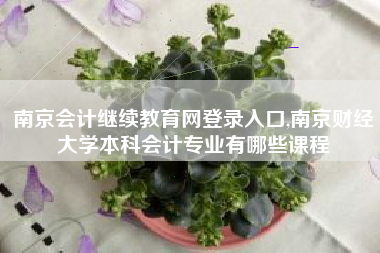 南京会计继续教育网登录入口,南京财经大学本科会计专业有哪些课程
