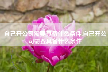 自己开公司需要具备什么条件,自己开公司需要具备什么条件