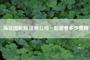 海淀国税局,注册公司一般需要多少费用