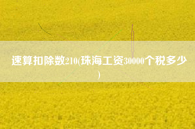 速算扣除数210(珠海工资30000个税多少
)