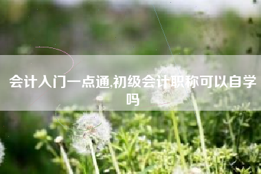 会计入门一点通,初级会计职称可以自学吗