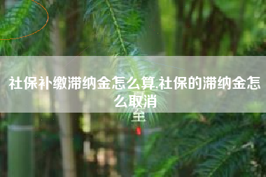 社保补缴滞纳金怎么算,社保的滞纳金怎么取消
