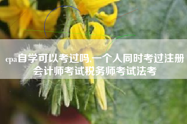 cpa自学可以考过吗,一个人同时考过注册会计师考试税务师考试法考