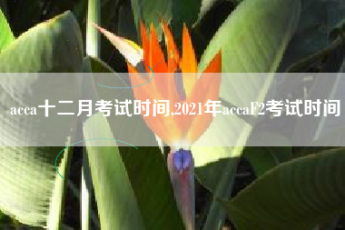 acca十二月考试时间,2021年accaF2考试时间