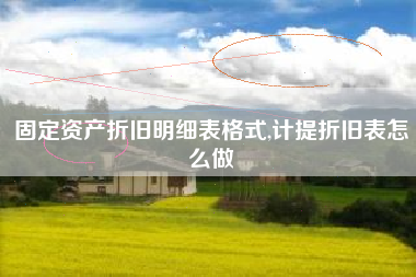 固定资产折旧明细表格式,计提折旧表怎么做