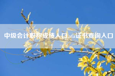 中级会计职称成绩入口,ata证书查询入口