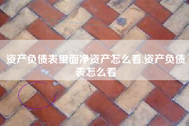 资产负债表里面净资产怎么看,资产负债表怎么看