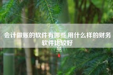 会计做账的软件有哪些,用什么样的财务软件比较好