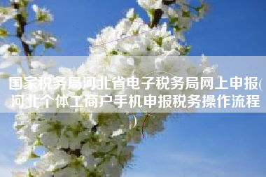 国家税务局河北省电子税务局网上申报(河北个体工商户手机申报税务操作流程
)