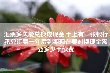 汇票多久能兑换成现金,手上有一张银行承兑汇票一年后到期现在要对换现金需要多少手续费