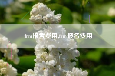 frm报考费用,frm报名费用
