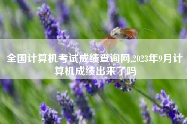 全国计算机考试成绩查询网,2023年9月计算机成绩出来了吗