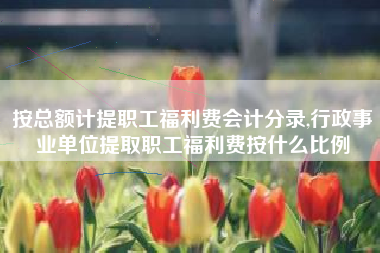 按总额计提职工福利费会计分录,行政事业单位提取职工福利费按什么比例
