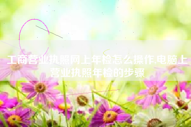 工商营业执照网上年检怎么操作,电脑上营业执照年检的步骤