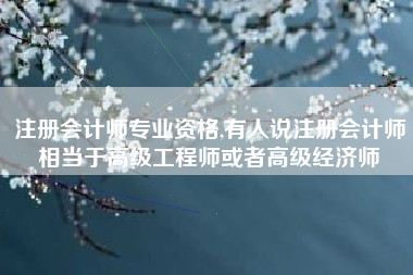 注册会计师专业资格,有人说注册会计师相当于高级工程师或者高级经济师
