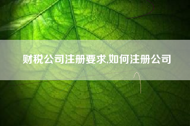 财税公司注册要求,如何注册公司
